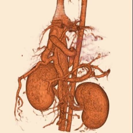반려동물 CT 촬영 예시 이미지 3